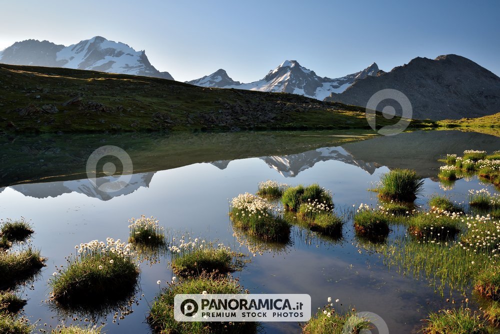 Luce del mattino al lago Pian Borgno 