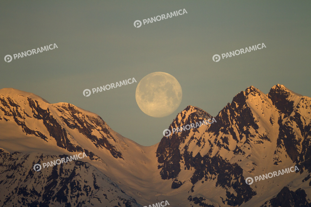 Luna piena 