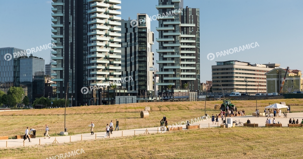 Mietitura del grano in Porta Nuova