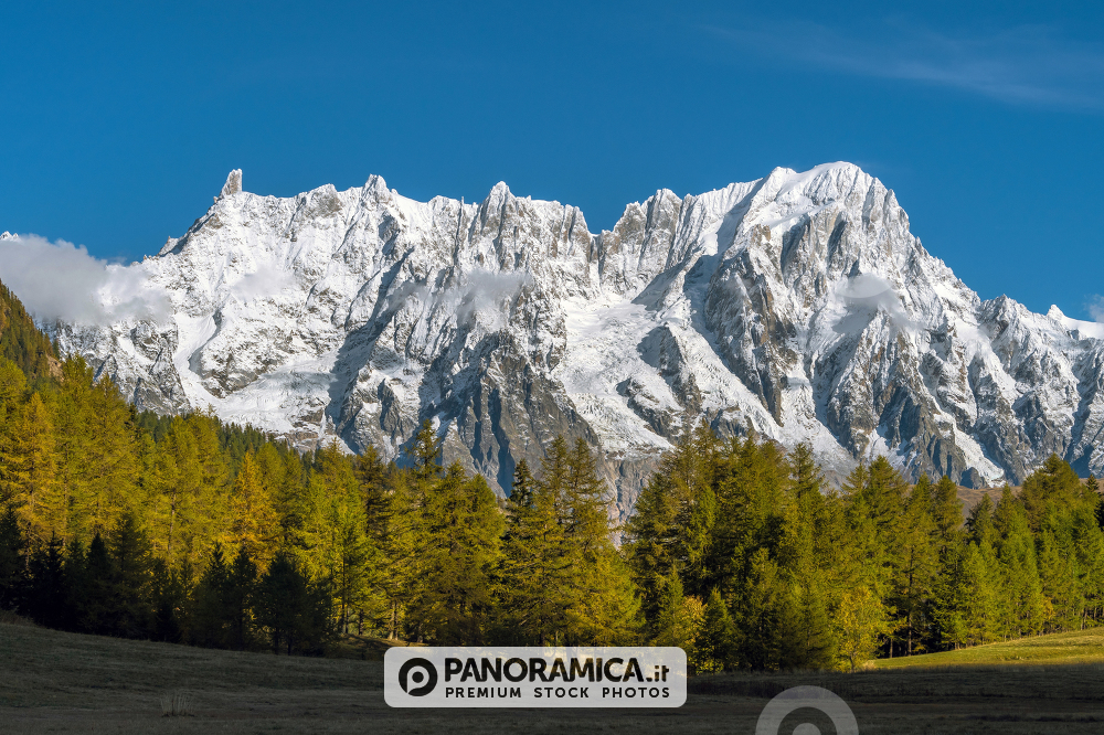 Monte Bianco (Dente del Gigante e Grand Jorasses) da Petosan