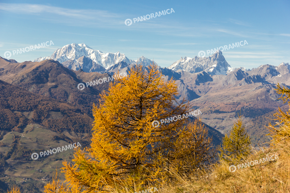Monte Bianco e Grandes Jorasses in autunno