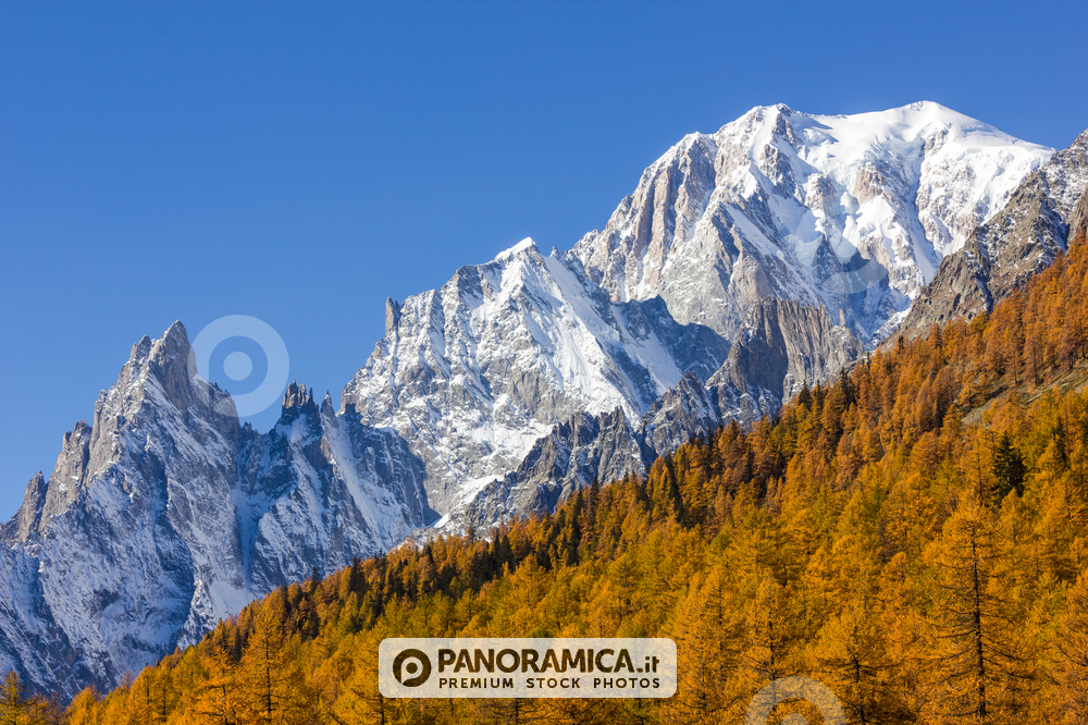 Monte Bianco in autunno dalla Val Ferret