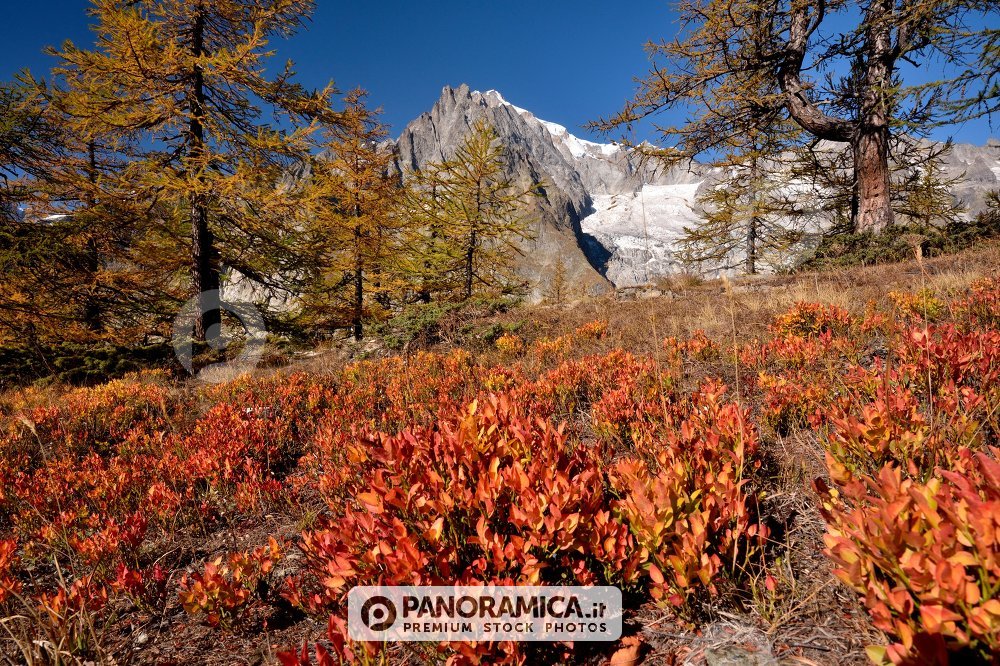 Monte Bianco nei colori d'Autunno 