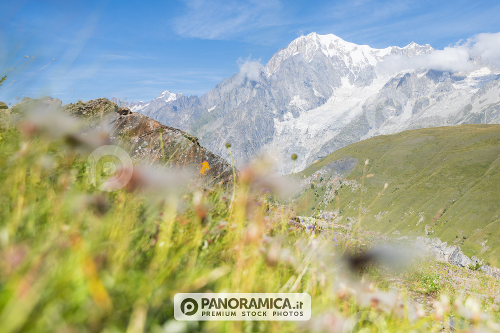 Monte Bianco visto dai prati della Val Sapin, Valle d'Aosta