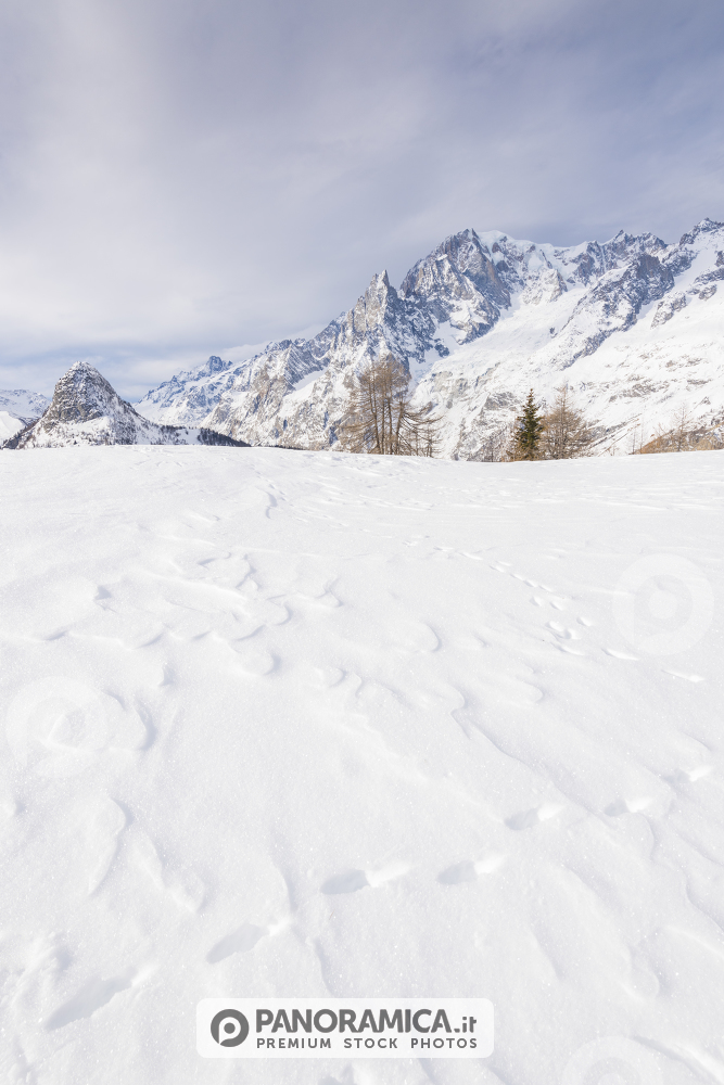 Monte Bianco, visto dalla dorsale del Mont de la Saxe, Valdigne, Valle d'Aosta