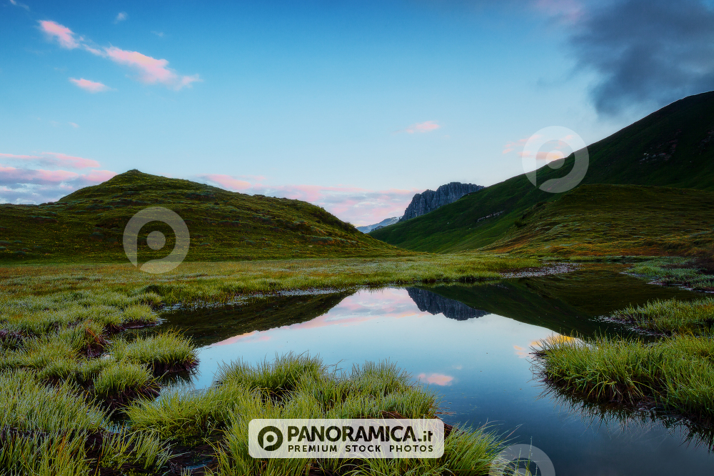 Mulaz Mount reflected in a little alpine lake near the Baita Segantini, Rolle Pass, Dolomites, Trentino Alto Adige, Italy