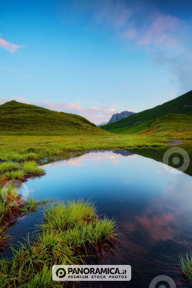 Mulaz Mount reflected in a little alpine lake near the Baita Segantini, Rolle Pass, Dolomites, Trentino Alto Adige, Italy