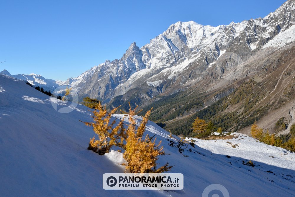 Neve d'autunno 