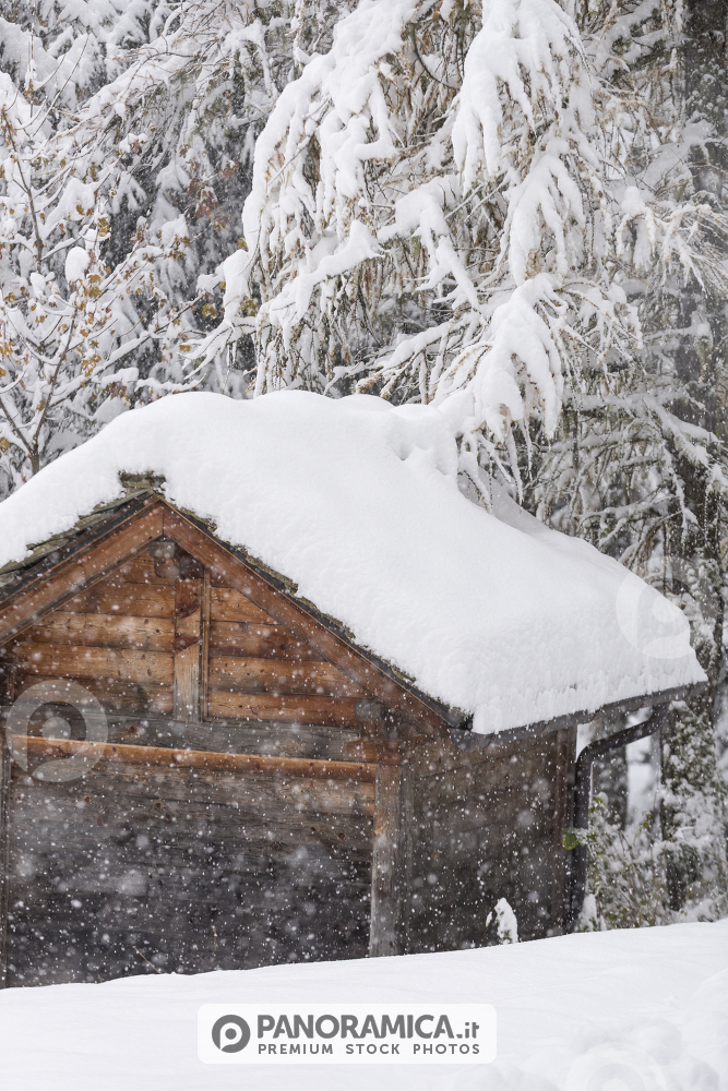 Nevicata invernale