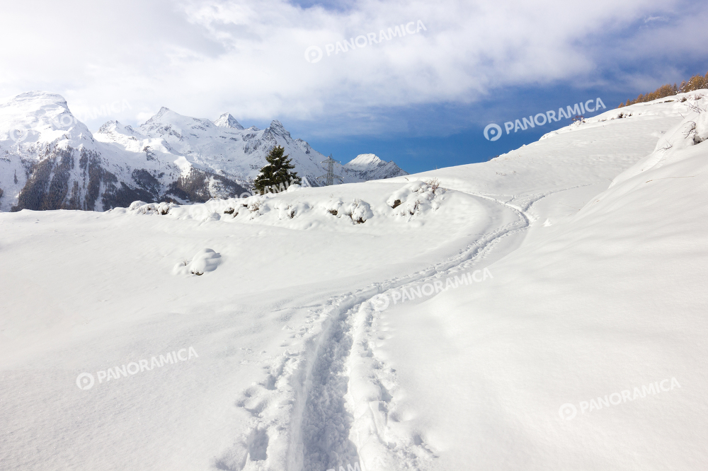 Paesaggio invernale a Cogne