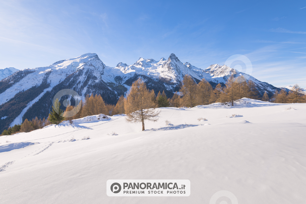 Paesaggio invernale verso Pian di Teppe, Valle di Cogne, Valle d'Aosta