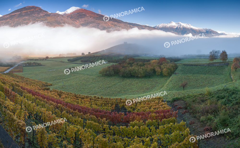 Panoramica sui vigneti di Aymavilles