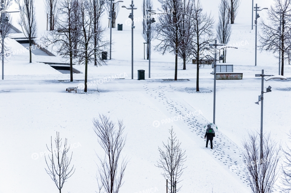 Parco Franco Verga innevato