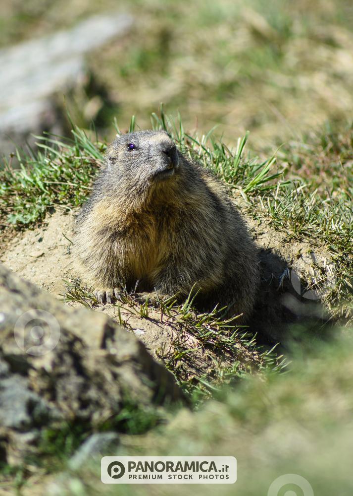 Parco Nazionale del Gran Paradiso