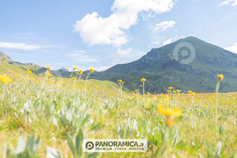 Pascoli della Tza de Fontaney e Mont Morion, Valle di Saint-Barthelemy, Valle d'Aosta