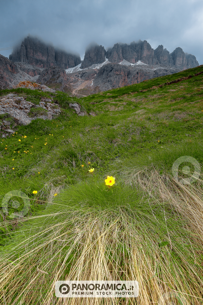 Piz Boè and Mount Forca, Pordoi Pass, Dolomites, Trentino Alto Adige, Italy