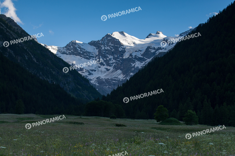 Prati di Sant'Orso e Gran Paradiso
