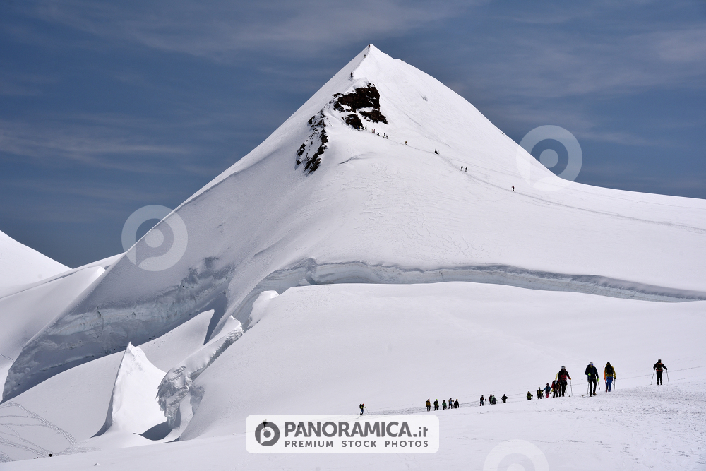 Punta Parrot 