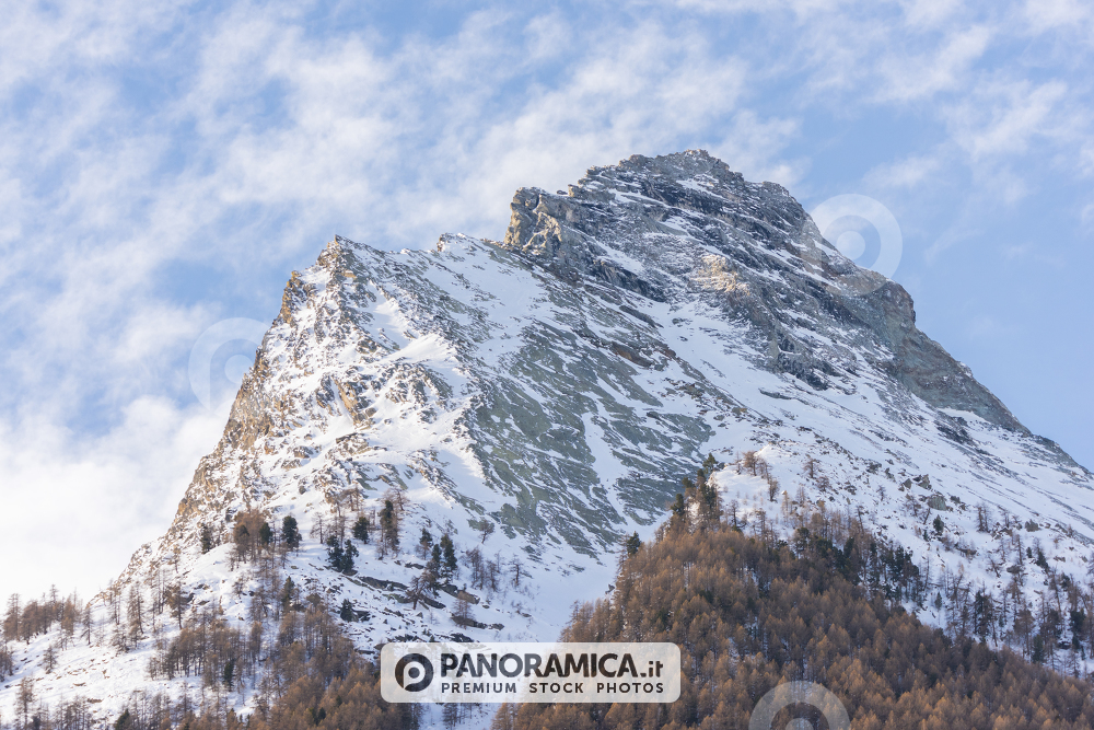 Punta Pousset, Valle di Cogne, Parco Nazionale Gran Paradiso, Valle d'Aosta