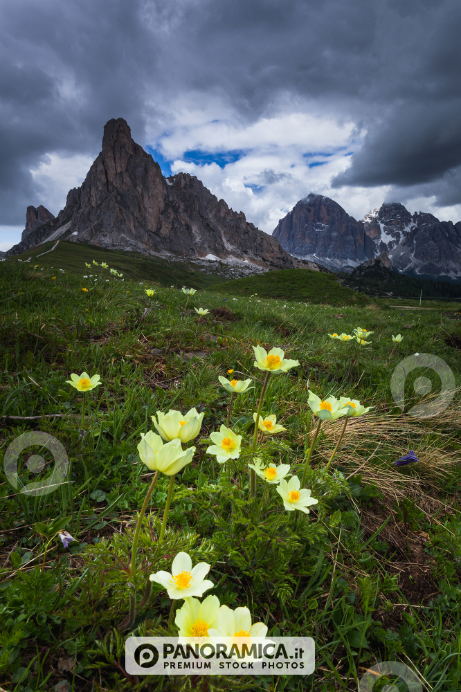 Ra Gusela, Forcella Giau, Giau Pass, Dolomites, Veneto, Cortina d'Ampezzo, Italy
