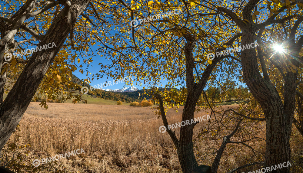 Riserva naturale Lago di Lozon