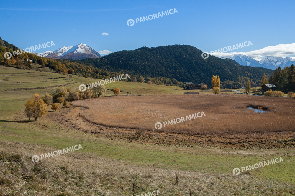 Riserva naturale Lago Lozon