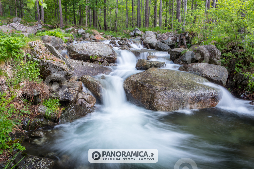 Ruscelli in Val Soana