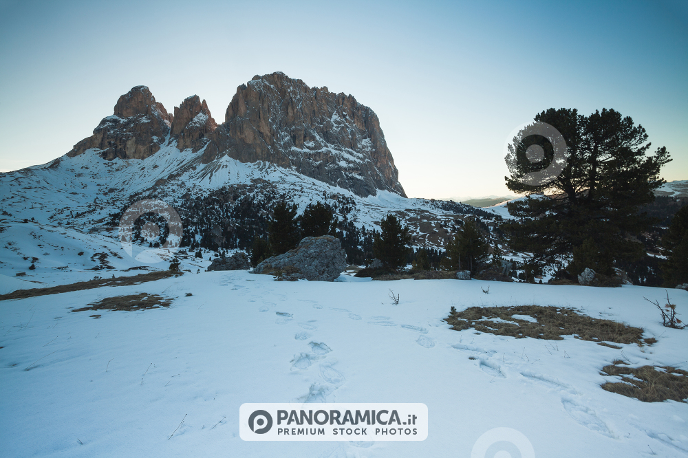 Sassolungo Group, Sella Pass, Dolomites, Trentino Alto Adige, Italy