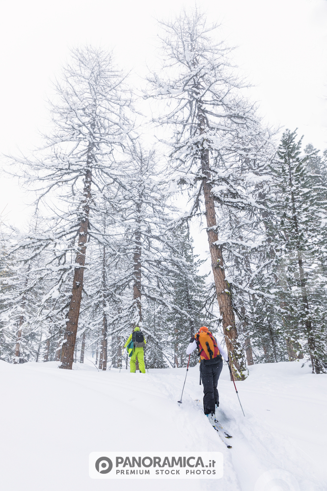 Sci alpinismo in Val di Rhemes (Rhemes-Notre-Dame, Aosta, Valle d'Aosta, Italia)