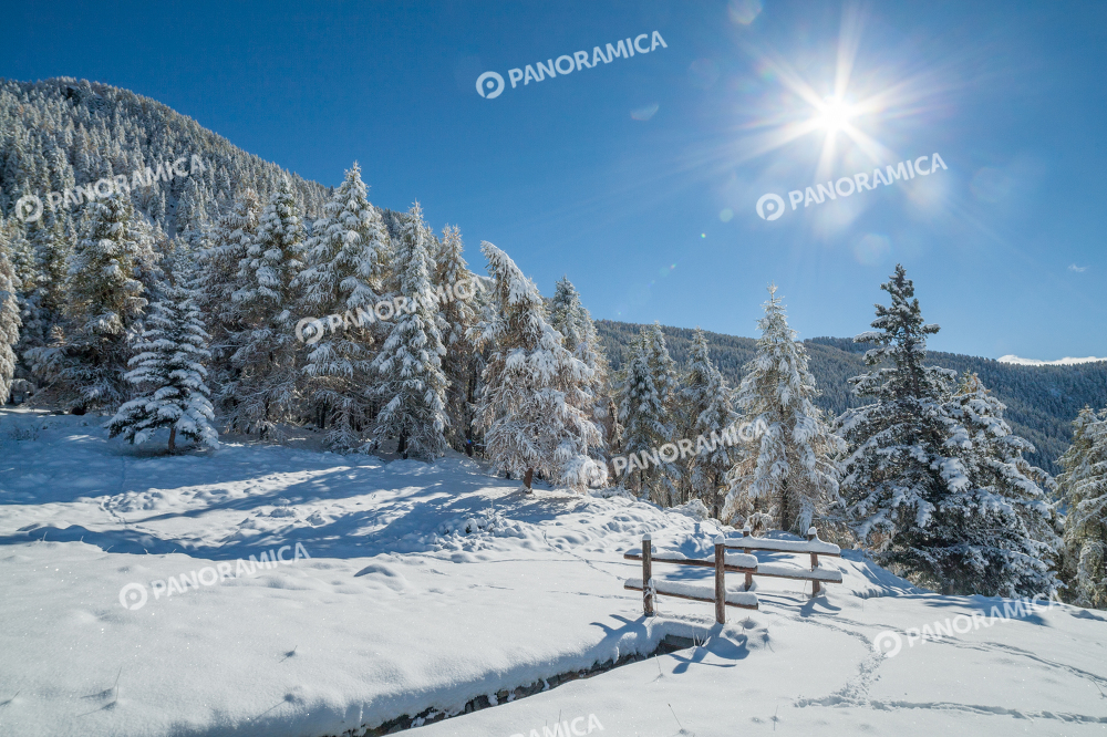 Sentiero verso il bosco