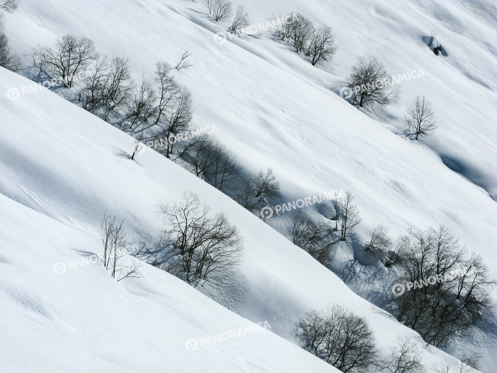 Silhouette sulla neve 