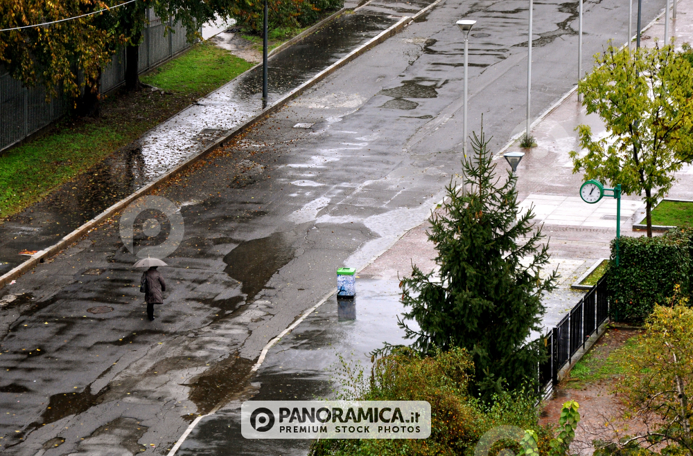 Strada bagnata autunnale