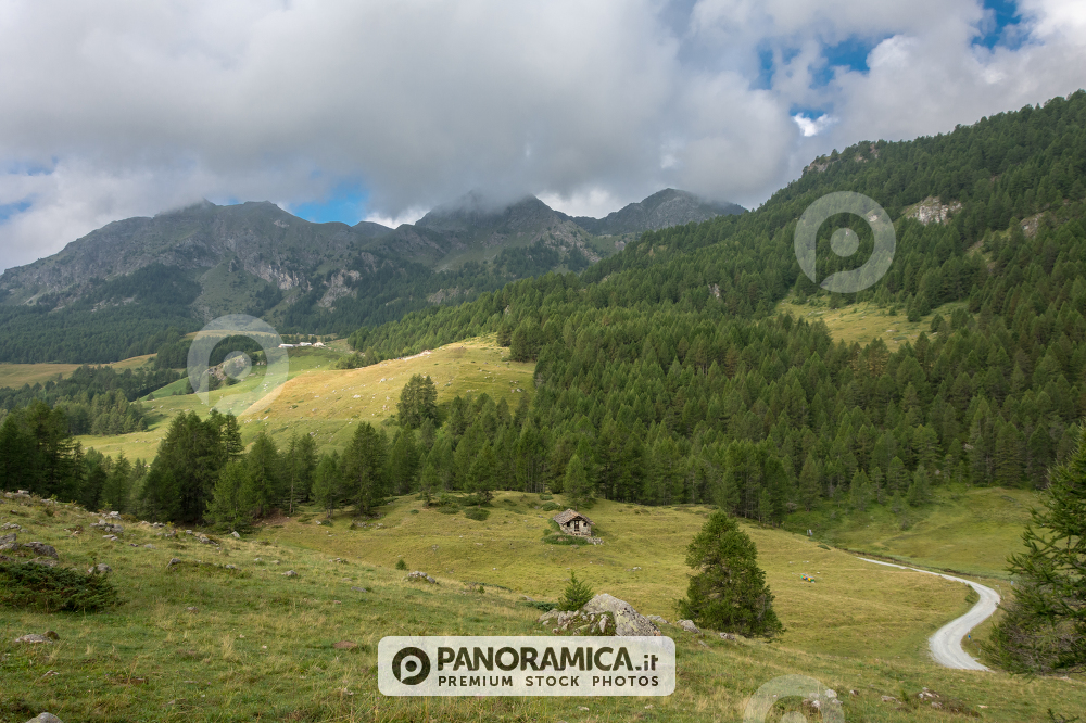 Torgnon - Valle del Cervino