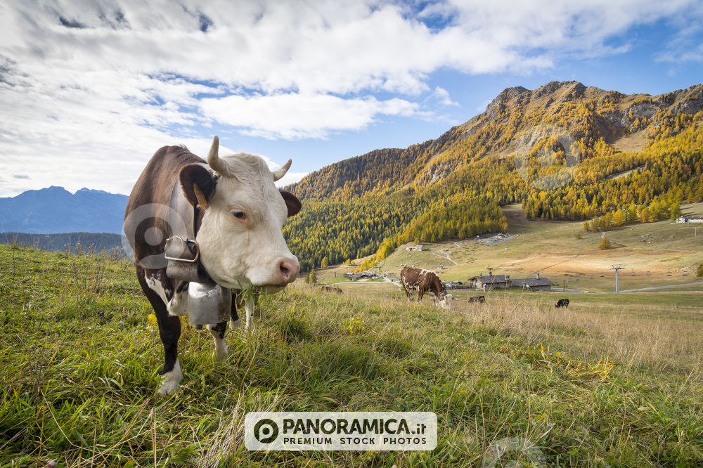 Torgnon in autunno