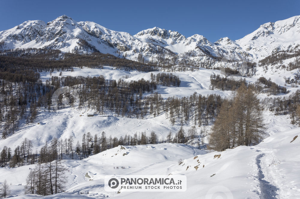 Torgnon in inverno