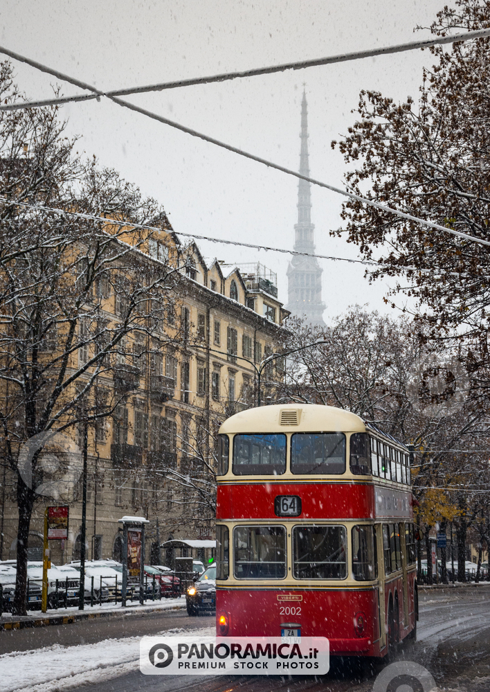 Torino city