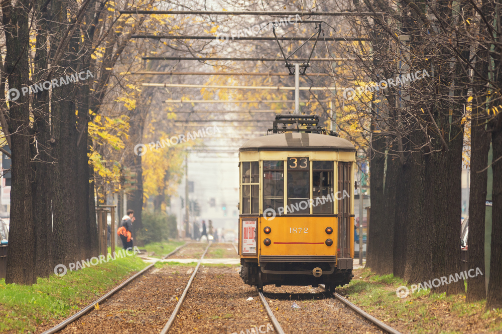Tram 33 in Viale Regina Giovanna