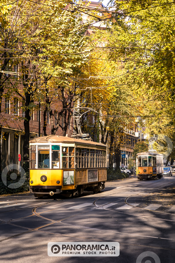 Tram su via Fabio Filzi (verticale)