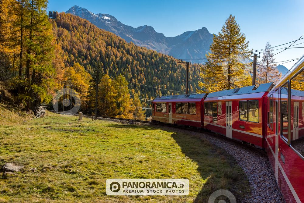 Trenino rosso