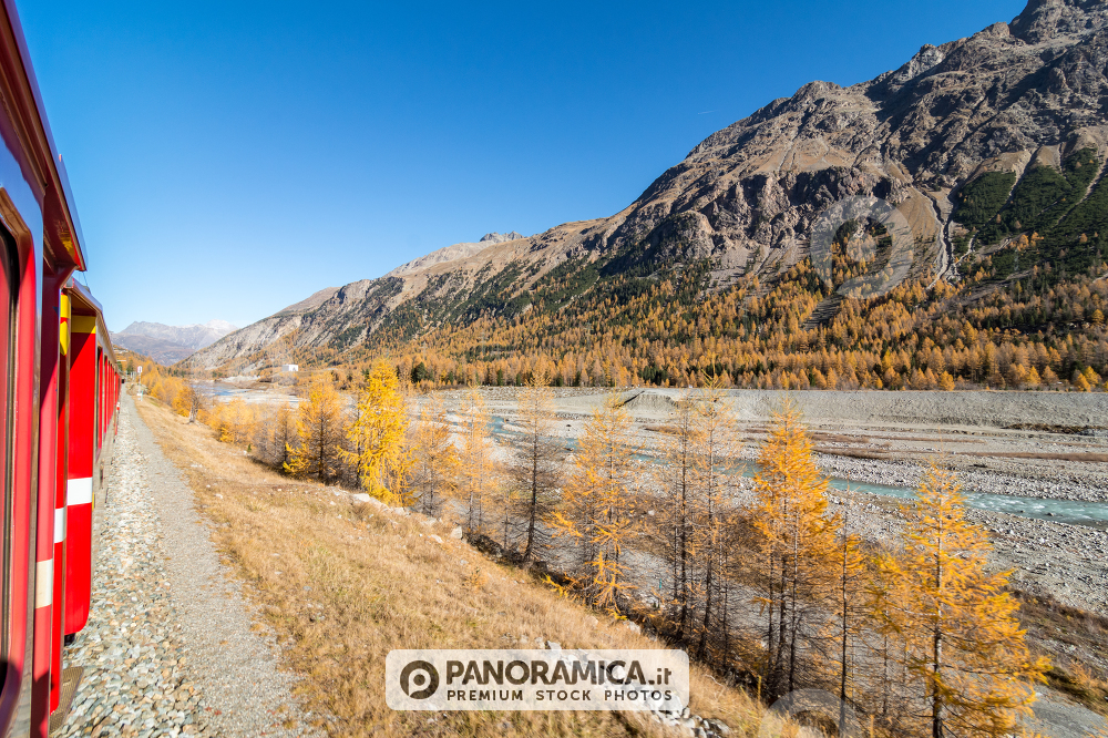 Trenino rosso del Bernina in autunno