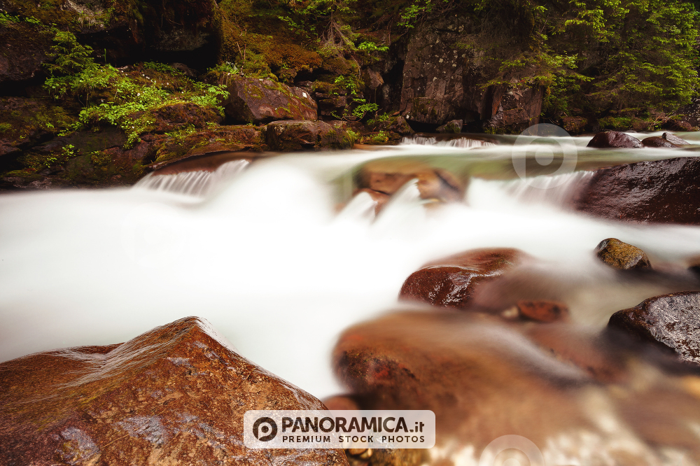 Unknown river in Val Venegia, Paneveggio Natural Park, Dolomites, Italy
