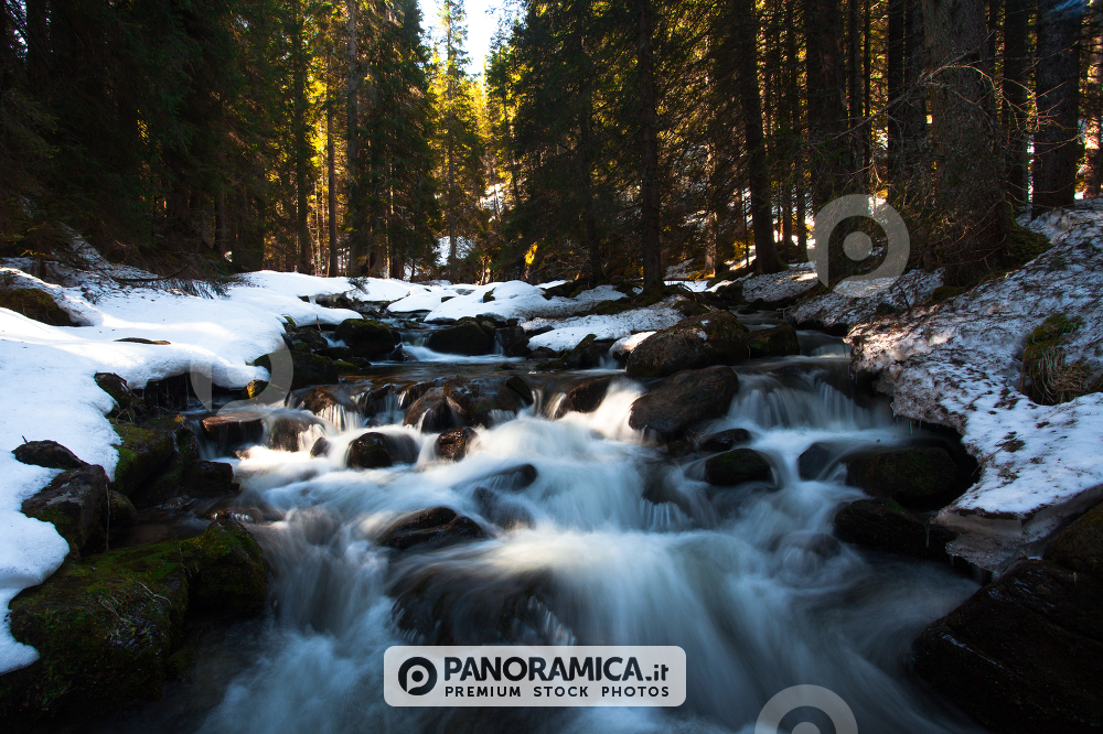 Unknown rivers and waterfalls in Val Venegia, Paneveggio Natural Park, Dolomites, Italy