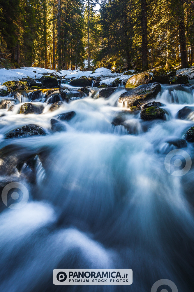 Unknown rivers and waterfalls in Val Venegia, Paneveggio Natural Park, Dolomites, Italy
