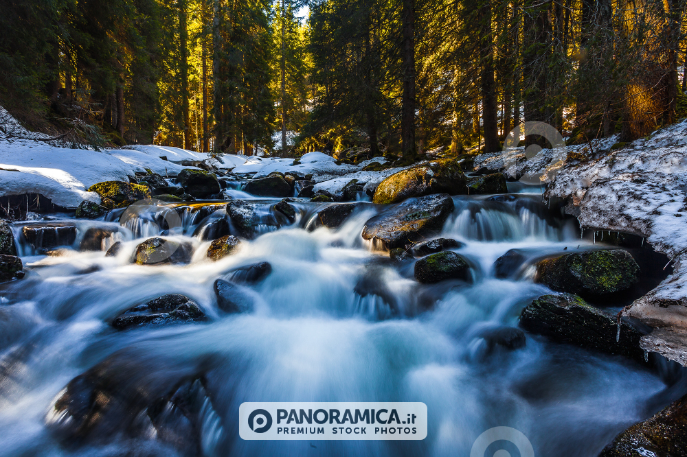 Unknown rivers and waterfalls in Val Venegia, Paneveggio Natural Park, Dolomites, Italy