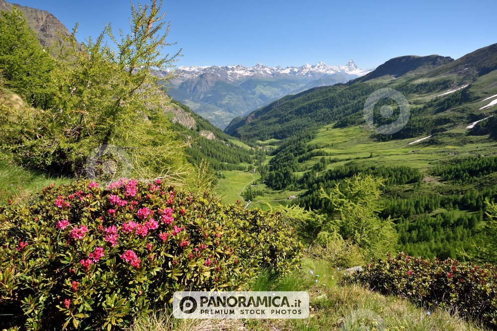 Vallone di Saint-Marcel