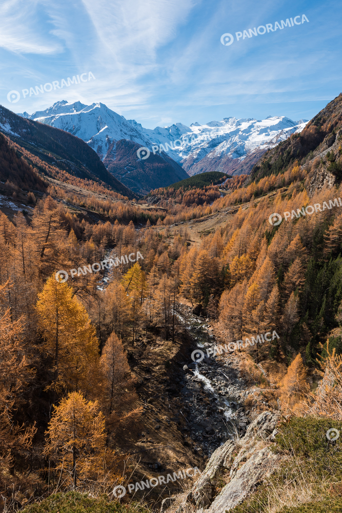 Vallone Grauson  in autunno