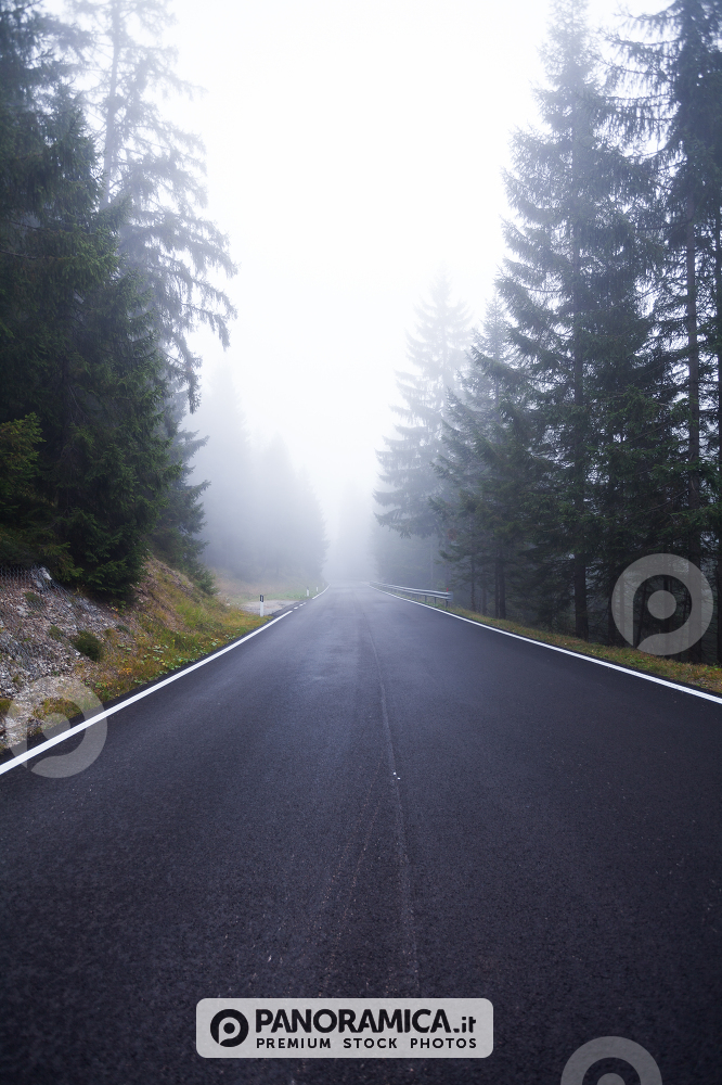 View of the foggy road to arrive in Passo Rolle in Dolomites, Italy