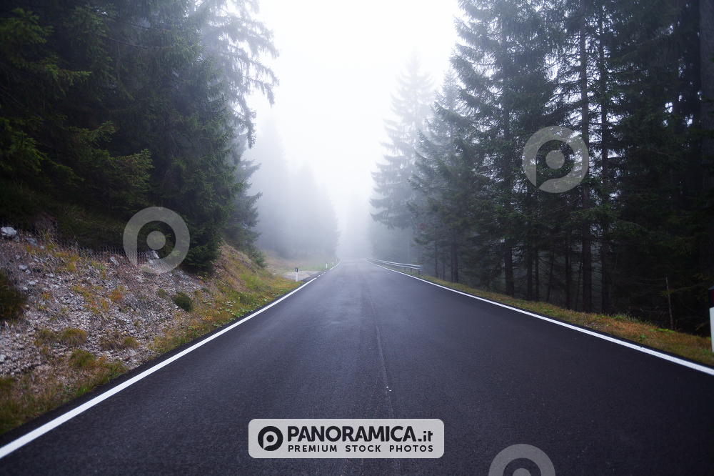 View of the foggy road to arrive in Passo Rolle in Dolomites, Italy