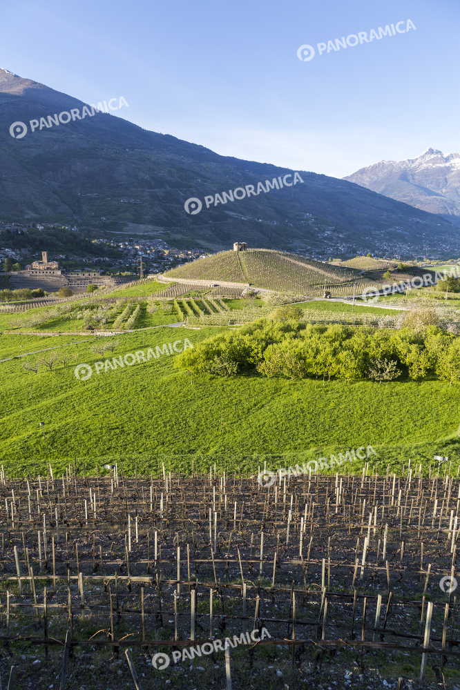 Vigneti di Aymavilles