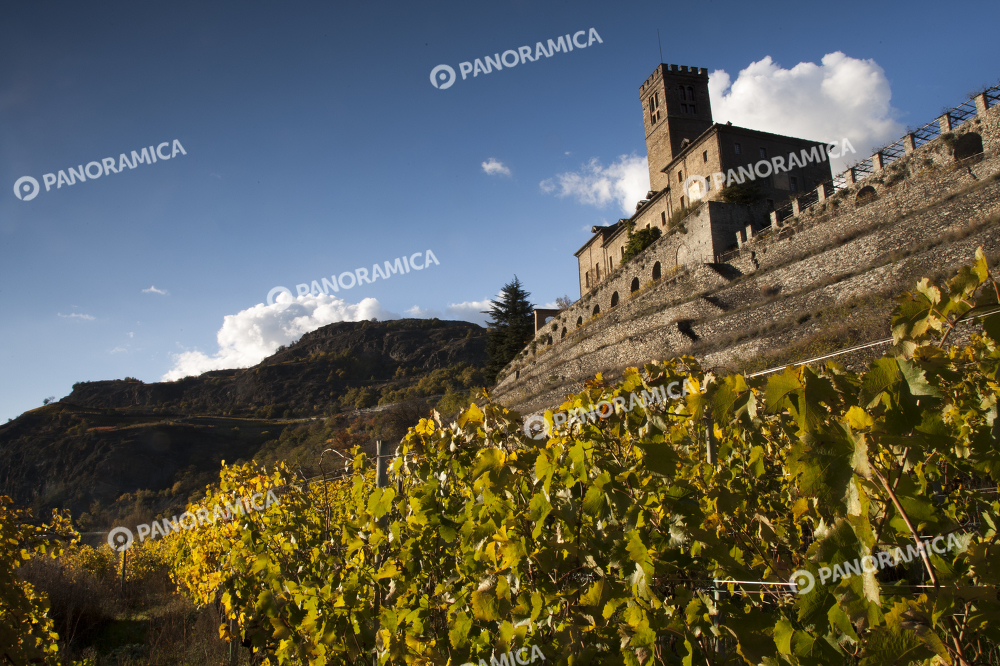 Vigneti e Castello Reale di Sarre